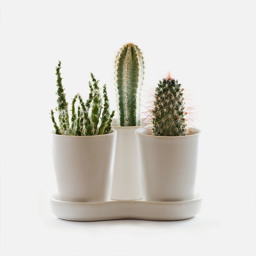 Miniature : I'm a product
